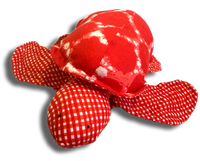 Sea Turtle