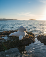 Arctic Seal Rattle
