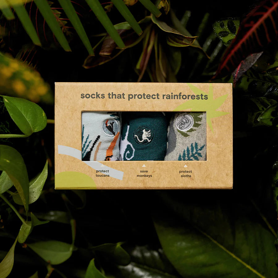 protect rainforests gift box